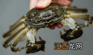 海蟹怎么储存 海蟹如何储存