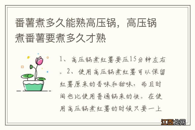 番薯煮多久能熟高压锅，高压锅煮番薯要煮多久才熟