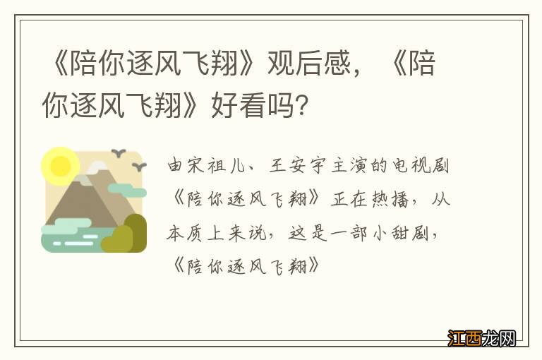 《陪你逐风飞翔》观后感，《陪你逐风飞翔》好看吗？