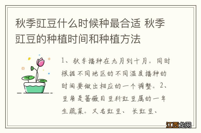 秋季豇豆什么时候种最合适 秋季豇豆的种植时间和种植方法