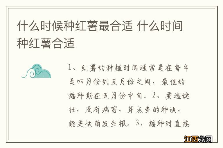 什么时候种红薯最合适 什么时间种红薯合适