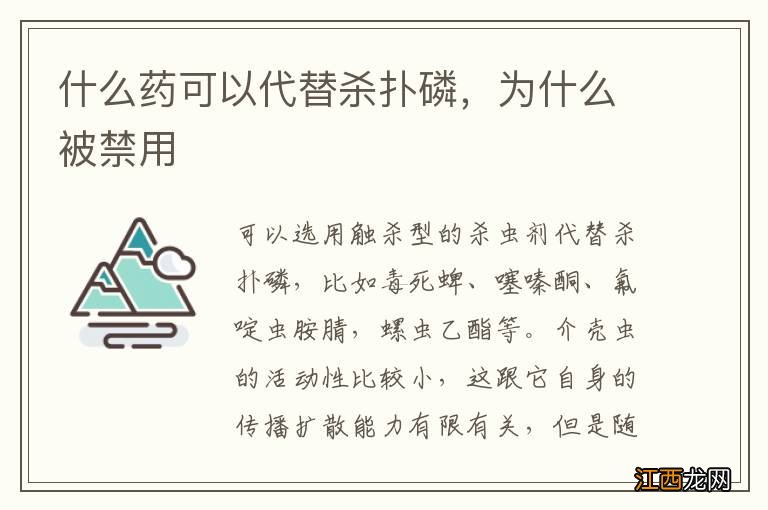 什么药可以代替杀扑磷，为什么被禁用