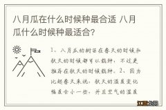 八月瓜在什么时候种最合适 八月瓜什么时候种最适合?