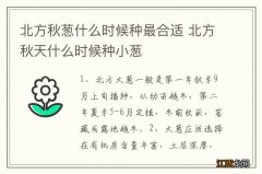 北方秋葱什么时候种最合适 北方秋天什么时候种小葱