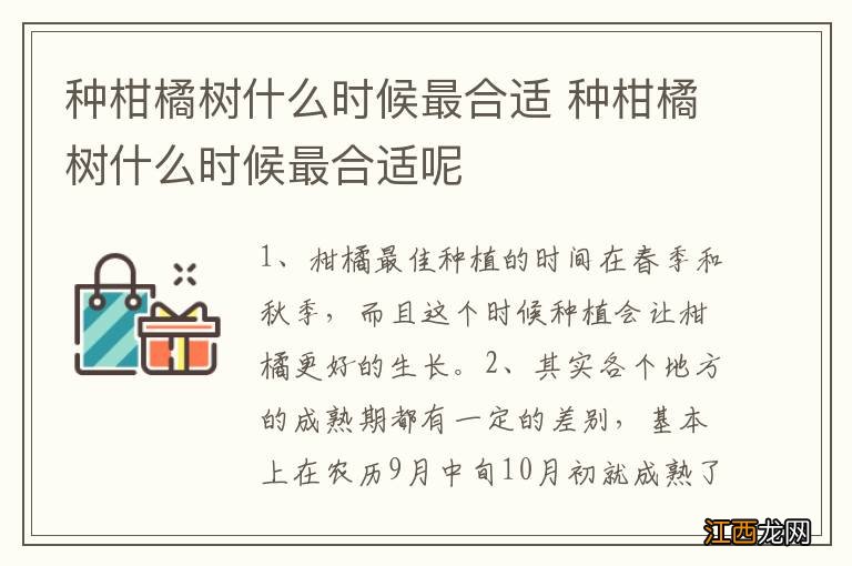 种柑橘树什么时候最合适 种柑橘树什么时候最合适呢