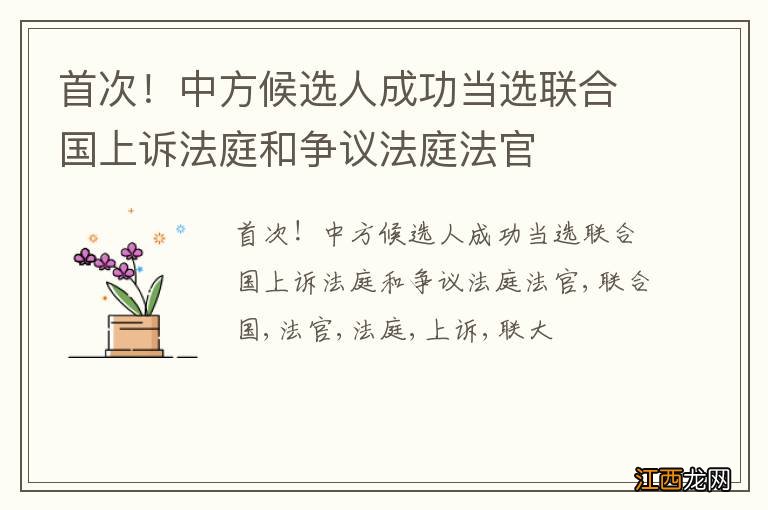 首次！中方候选人成功当选联合国上诉法庭和争议法庭法官