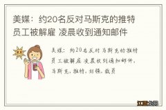 美媒：约20名反对马斯克的推特员工被解雇 凌晨收到通知邮件