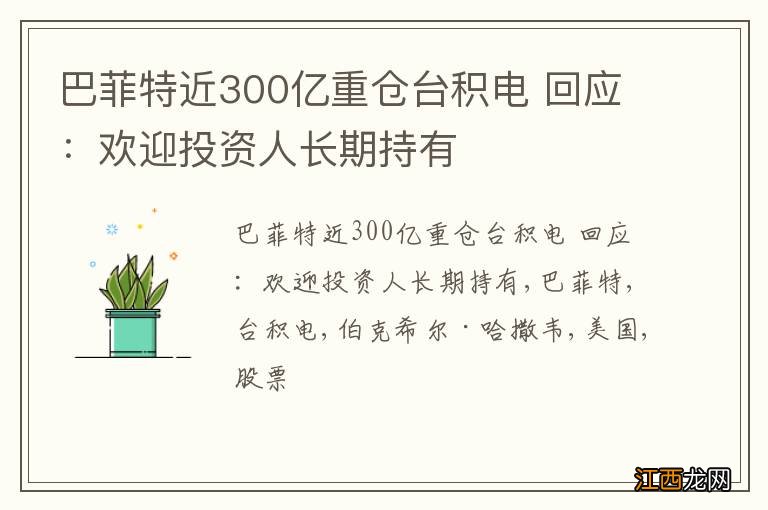 巴菲特近300亿重仓台积电 回应：欢迎投资人长期持有