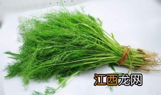 茴香能做汤吗怎么做 茴香能做汤吗