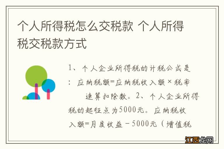 个人所得税怎么交税款 个人所得税交税款方式