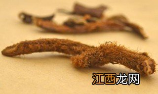 毛姜的正确使用方法 毛姜如何正确使用