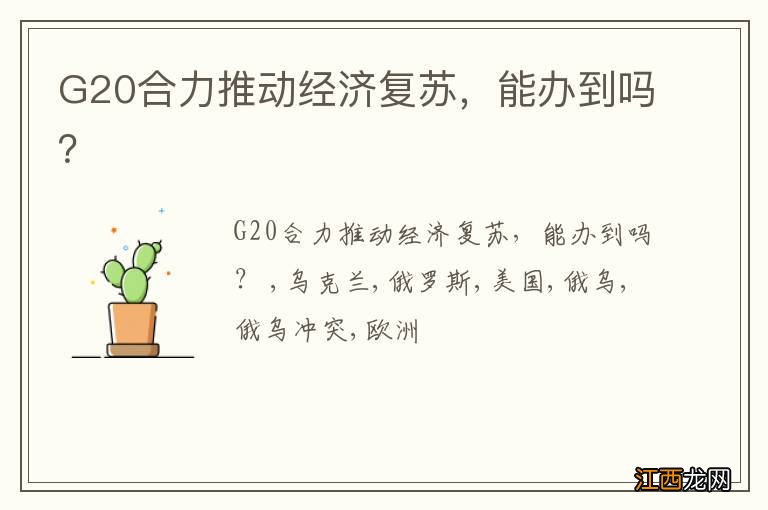 G20合力推动经济复苏，能办到吗？