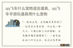 qq飞车什么宠物适合道具，qq飞车手游玩道具用什么宠物