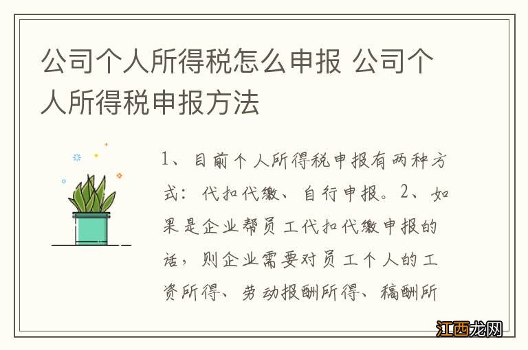 公司个人所得税怎么申报 公司个人所得税申报方法