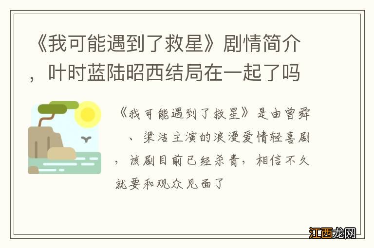 《我可能遇到了救星》剧情简介，叶时蓝陆昭西结局在一起了吗