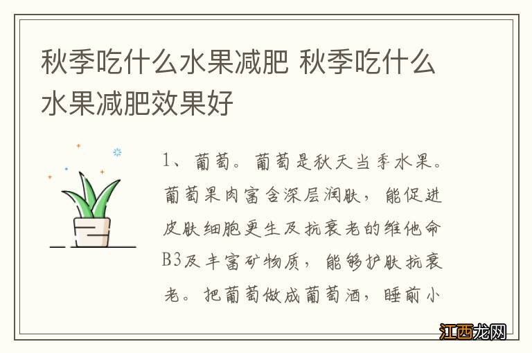 秋季吃什么水果减肥 秋季吃什么水果减肥效果好