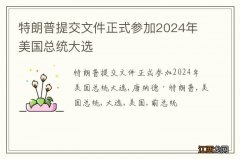 特朗普提交文件正式参加2024年美国总统大选