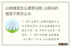 山姆榴莲怎么看熟没熟 山姆买的榴莲不熟怎么办