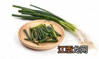 沙葱什么季节种植 沙葱什么时候种最合适