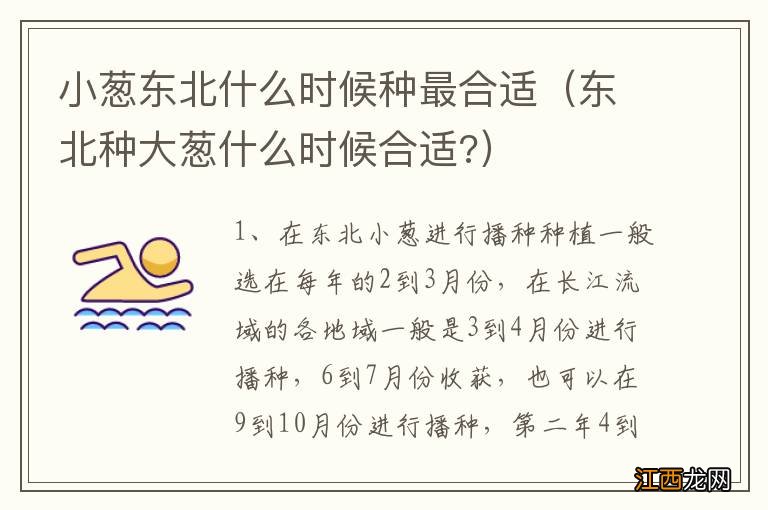 东北种大葱什么时候合适? 小葱东北什么时候种最合适