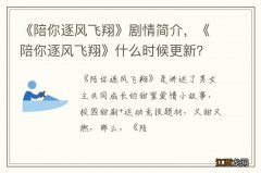 《陪你逐风飞翔》剧情简介，《陪你逐风飞翔》什么时候更新？