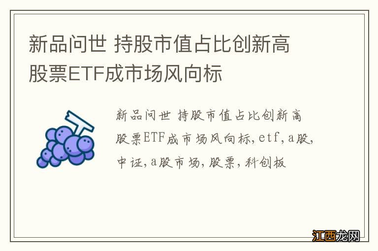 新品问世 持股市值占比创新高 股票ETF成市场风向标