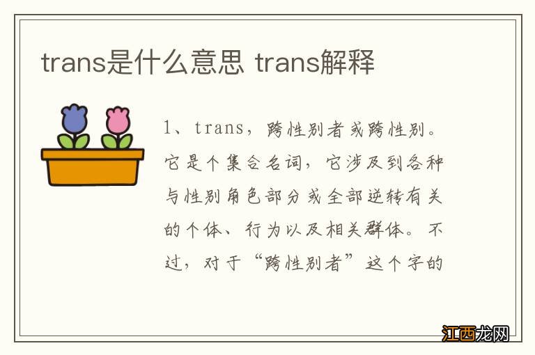 trans是什么意思 trans解释