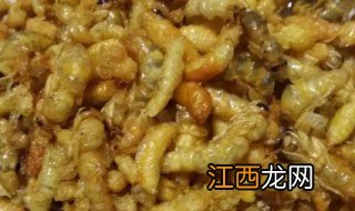 蜂蛹速冻能保存多久 蜂蛹生冷冻可以保存多久