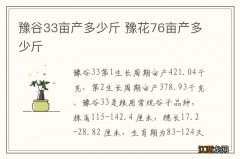 豫谷33亩产多少斤 豫花76亩产多少斤