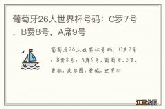 葡萄牙26人世界杯号码：C罗7号，B费8号，A席9号