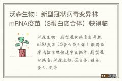 S蛋白嵌合体 沃森生物：新型冠状病毒变异株mRNA疫苗获得临床试验伦理快速审查批件