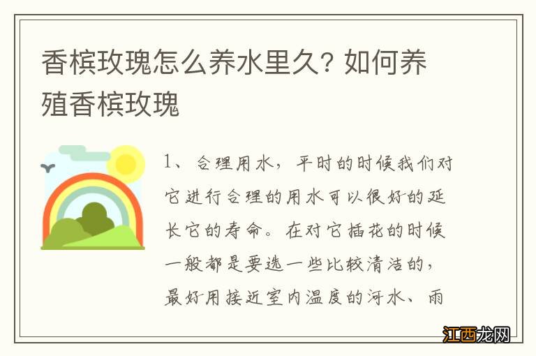 香槟玫瑰怎么养水里久? 如何养殖香槟玫瑰