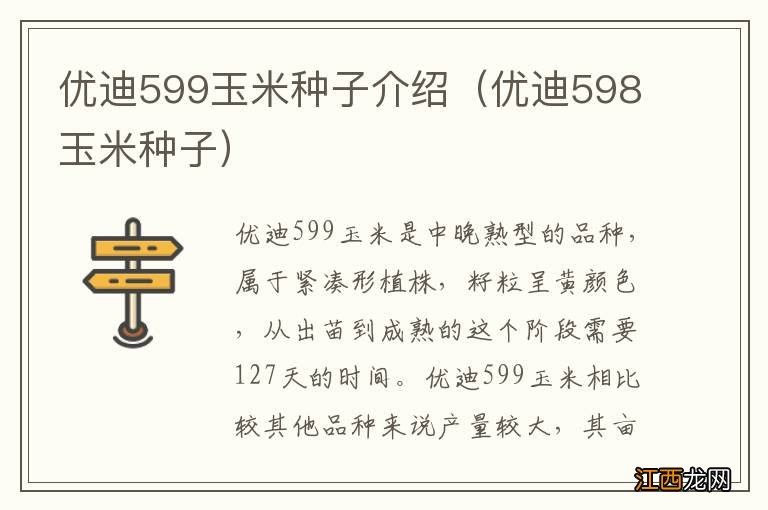 优迪598玉米种子 优迪599玉米种子介绍