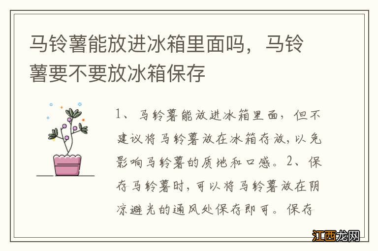 马铃薯能放进冰箱里面吗，马铃薯要不要放冰箱保存