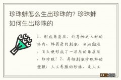 珍珠蚌怎么生出珍珠的? 珍珠蚌如何生出珍珠的