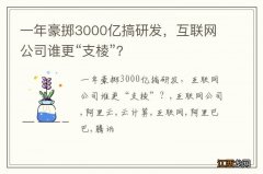 一年豪掷3000亿搞研发，互联网公司谁更“支棱”？