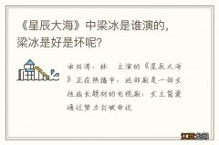 《星辰大海》中梁冰是谁演的，梁冰是好是坏呢？