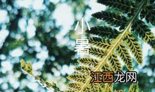 2021小暑是农历几月几日 2021年小暑的时间