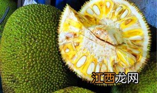 菠萝蜜是什么 菠萝蜜介绍