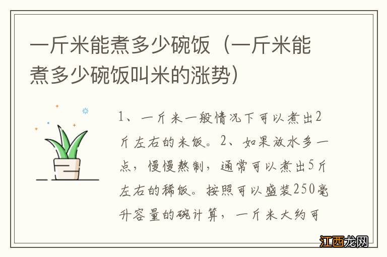 一斤米能煮多少碗饭叫米的涨势 一斤米能煮多少碗饭