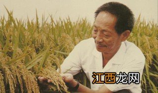 袁隆平生平简短简介 袁隆平生平简介