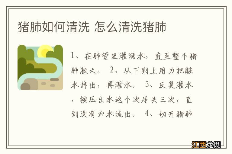 猪肺如何清洗 怎么清洗猪肺