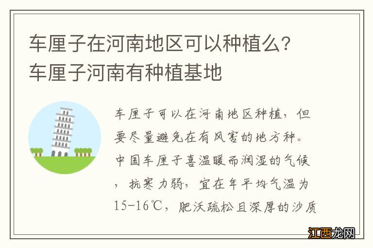 车厘子在河南地区可以种植么? 车厘子河南有种植基地