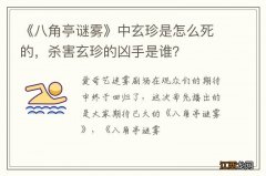 《八角亭谜雾》中玄珍是怎么死的，杀害玄珍的凶手是谁？