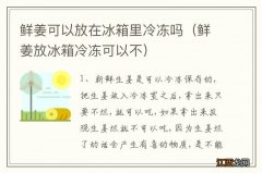 鲜姜放冰箱冷冻可以不 鲜姜可以放在冰箱里冷冻吗