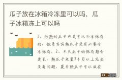 瓜子放在冰箱冷冻里可以吗，瓜子冰箱冻上可以吗