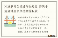 冲施肥多久能被作物吸收 钾肥冲施到地里多久植物能吸收