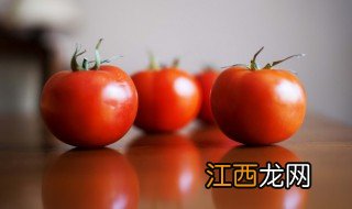 番茄和柑橘 西红柿是柑橘类水果吗