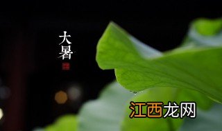 二十四节气之大暑的由来 大暑的由来