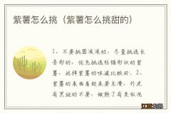 紫薯怎么挑甜的 紫薯怎么挑